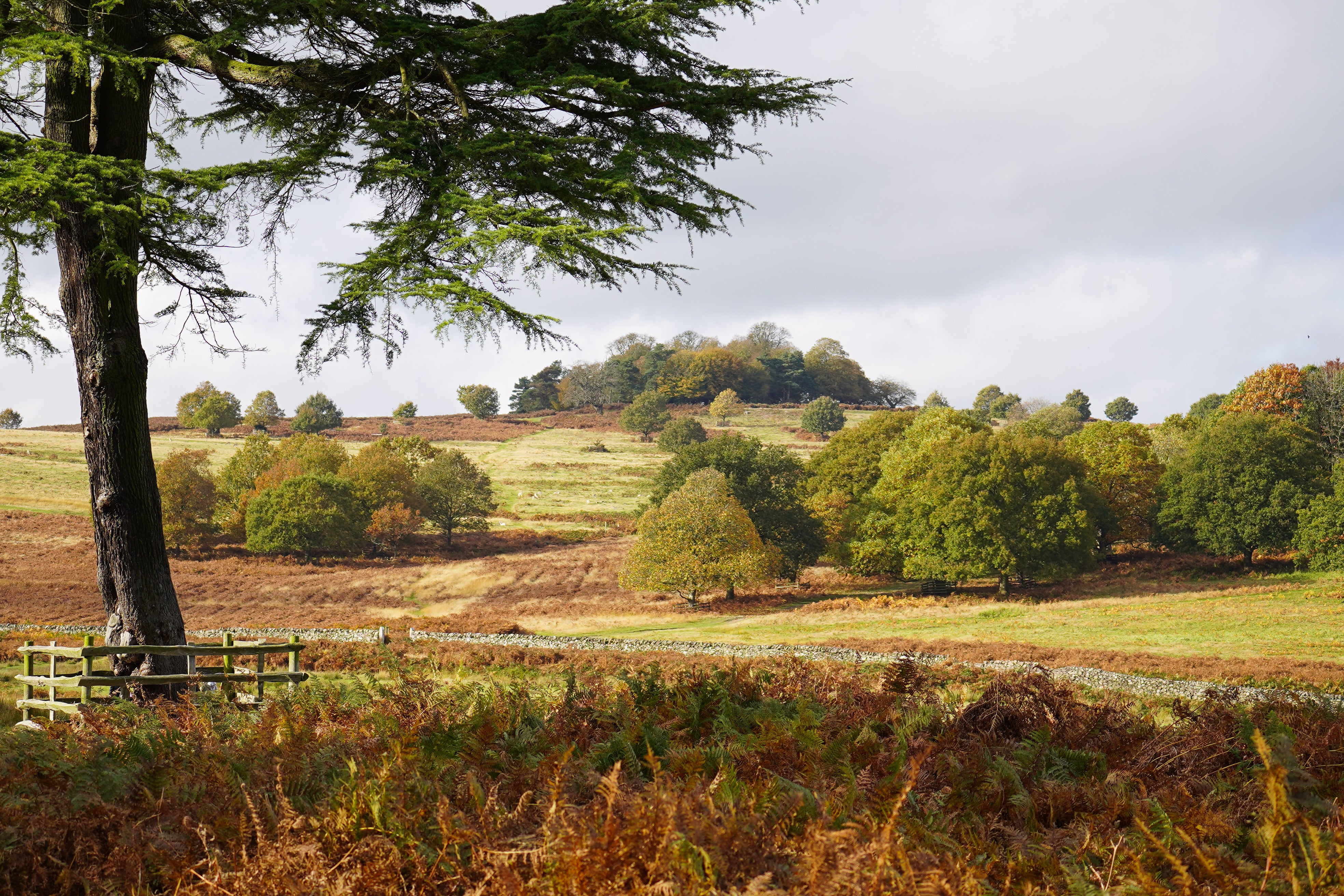 A Few Of Our Favorite Places to Go Walking in Autumn