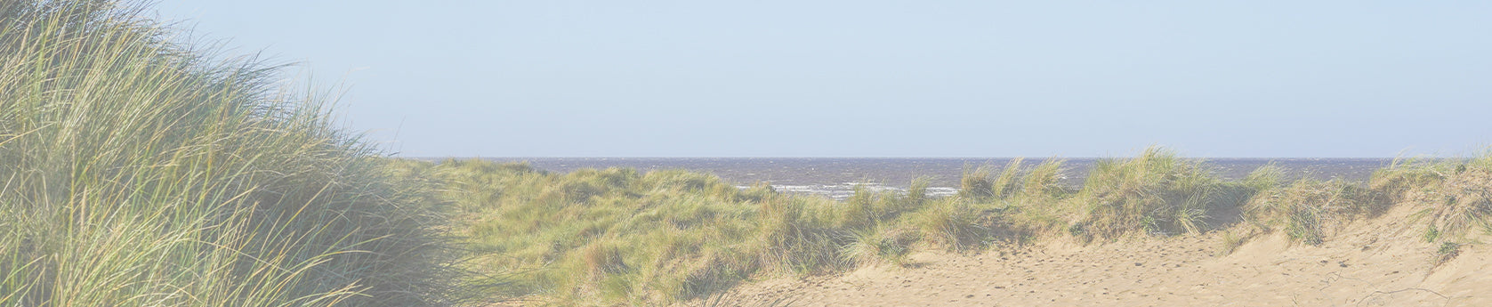 Hit The Beach