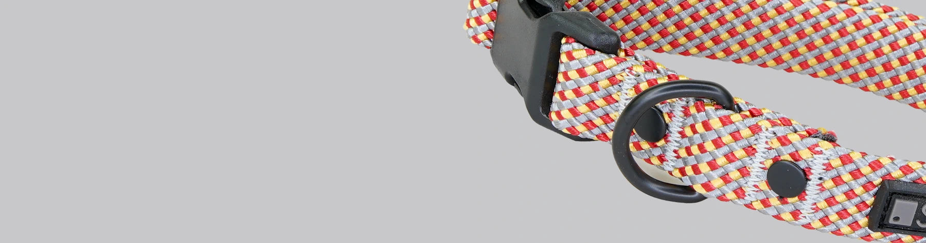 Dog Collars