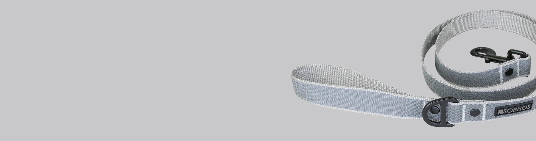 Dog Leads