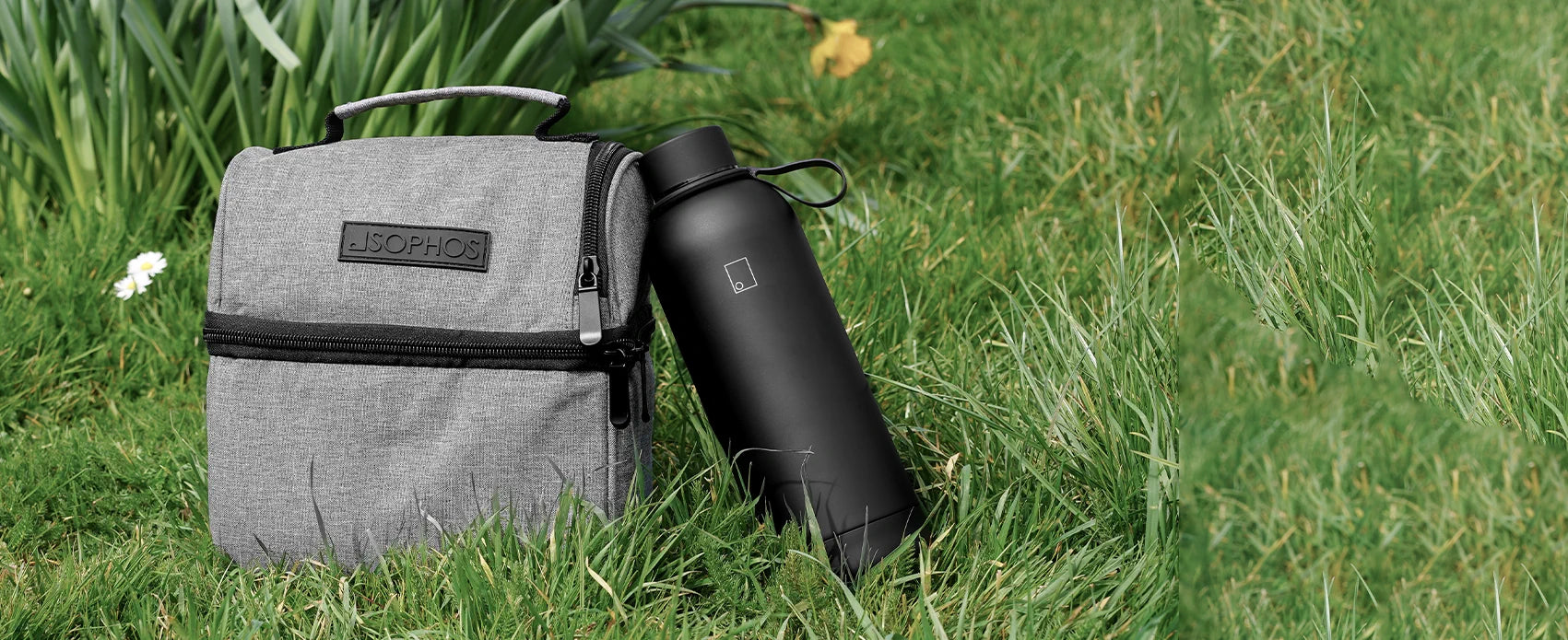 Spring Picnic Sale